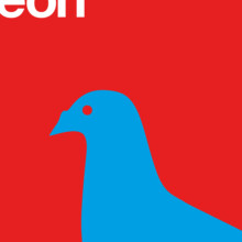 London-Pigeon-Detail-1