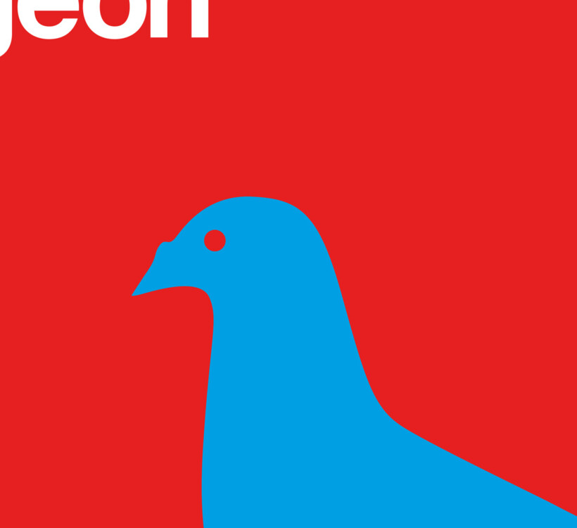 London-Pigeon-Detail-1