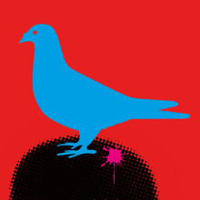 London-pigeon-detail-3