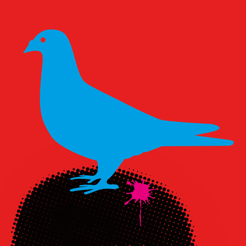 London-pigeon-detail-3